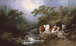 Three Dogs by a Brook - George Armfield