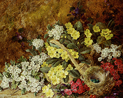 Still Life of Flowers with Bird\'s Nest - George Clare