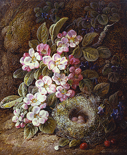 Flowers and Bird\'s Nest on a Mossy Bank - George Clare