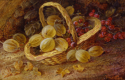 Gooseberries and Currant in a Basket - Vincent Clare