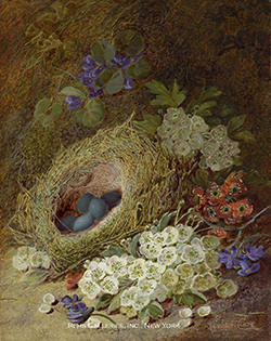 Still Life of Flowers & Bird\'s Nest - Vincent Clare